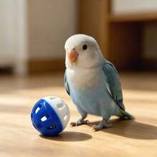 15pcs/10pcs/5pcs/1pc Bird Bell Ball Toy, Jingle Sound, Diameter 3.8cm (1.5 Inches), Colorful Cat Teaser Dog Teaser Parrot Toy Ball, Built-In Bell, Interactive Bird Cage Toy, Suitable For Budgies, Cockatiels, Lovebirds And Other Small Birds, Perfect Holiday Gift For Pets, Sound Toy Ball Cat Toys/Bird Accessories/Bird Toys - View 4