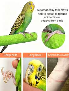 1pc Bird Beak Grinding Chewing Toy, Parrot Calcium Perch, Bird Standing Platform, Cage Accessory, Suitable For Budgies, Cockatiels, Lovebirds, Canaries - Multicolor - View 4