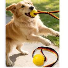 Rope Dog Toy Ball, Puppy Interactive Training Toy, Pet Chewing Play Toy, EVA Elastic Floating Ball - Multicolor - View 6