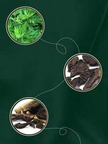 1 Box Mugwort Ointment, For Daily Care Of Shoulders, Neck, Knees And Joints, Traditional Chinese Medicine - One Size Fits All - View 3