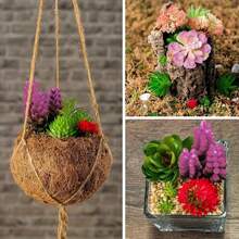 Bonsai - 27pcs - View 6