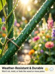 5/3Pcs Monstera Plant Support Stakes Set 5 Stakes + 1 Roll 1m Hook And Loop Stackable Tall Durable Vine Support For Climbing Plant Stem Outdoor Garden Patio Balcony Minimalist Nature Inspired Spring Gardening Gift - Multiple Styles - View 7