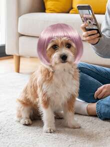 1pc Pet Cat Dog Wig, Pink Bangs Bob Hair Accessory, Suitable For Cats And Dogs To Wear, Applicable For Taking Funny Pet Photos, Attending Theme Parties, Birthday Parties And Daily Dress-Up - Baby Pink - View 8