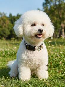 Thin Nylon Colorful Patterned Dog Collar, Suitable For Small Poodles And Bichons, All-Season Use, Cat And Dog Pet Supplies, Happy Puppy, Suitable For Small To Medium Dogs And Cats - Multicolor - View 2