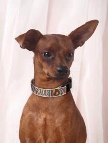 Thin Nylon Colorful Patterned Dog Collar, Suitable For Small Poodles And Bichons, All-Season Use, Cat And Dog Pet Supplies, Happy Puppy, Suitable For Small To Medium Dogs And Cats - Multicolor - View 7