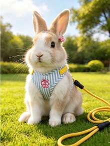 1pc Rabbit Vest Harness Leash, Suitable For Small Dogs, Teddy, Bichon Frise, Puppies, Adjustable Pet Dog Leash, Rabbit Harness, Rabbit Supplies, Rabbit Pet Supplies, Rabbit Supplies, Dog Supplies, Cat Supplies, Dog Leash - Multicolor - View 4