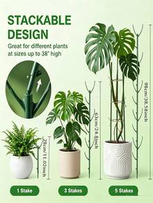 5/3Pcs Monstera Plant Support Stakes Set 5 Stakes + 1 Roll 1m Hook And Loop Stackable Tall Durable Vine Support For Climbing Plant Stem Outdoor Garden Patio Balcony Minimalist Nature Inspired Spring Gardening Gift - Multiple Styles - View 2