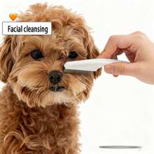 1pc Pet Face Comb, Fine Teeth Efficient Cleaning, PP Material Fine Teeth Design (Rounded Tips Won't Scratch Pet's Delicate Facial Skin, Deeply Comb Hair Roots), Precisely Remove Lice, Loose Hair And Fine Dirt - White - View 6