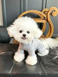Soft Ribbed Pet Dog Inner Shirt Undershirt, Suitable For Small And Medium Pets, Dog Accessories, Dog Clothing, Dog Halloween Costume, Cat Autumn Daily Wear Clothing - Multicolor - View 10