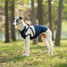 1pc Polyester Filled Reflective Fleece Dog Coat, Adjustable Buckle Double D-Ring Windproof Cat Jacket, Zipper Closure, Suitable For Small And Medium Dogs - Autumn And Winter (This Product Has No Stretch, Recommended To Buy One Size Larger) - Blue - View 11