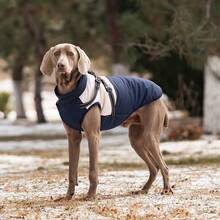 1pc Polyester Filled Reflective Fleece Dog Coat, Adjustable Buckle Double D-Ring Windproof Cat Jacket, Zipper Closure, Suitable For Small And Medium Dogs - Autumn And Winter (This Product Has No Stretch, Recommended To Buy One Size Larger) - Blue - View 12