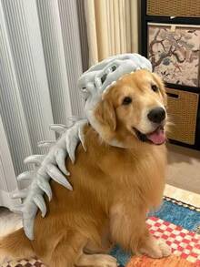 Funny Dinosaur Skeleton Pet Halloween Costume, Plush Skull Spine Cosplay Outfit, Dog Halloween Party Photo Prop Pet Dress-Up Accessory - Grey - View 1
