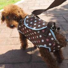 Spotted Pet Backpack Dog Carrier Bag, Portable Breathable Small Dog & Cat Bag, Crossbody One Shoulder Small Pet Bag - Multicolor - View 9