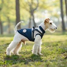 1pc Polyester Filled Reflective Fleece Dog Coat, Adjustable Buckle Double D-Ring Windproof Cat Jacket, Zipper Closure, Suitable For Small And Medium Dogs - Autumn And Winter (This Product Has No Stretch, Recommended To Buy One Size Larger) - Blue - View 10