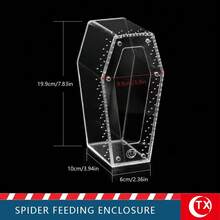 Coffin-Shaped Acrylic Spider Feeding & Breeding Box, Transparent Micro Habitat Terrarium With Magnetic Door And Ventilation Holes, Suitable For Tarantulas, Mantises, Insects - Multicolor - View 13