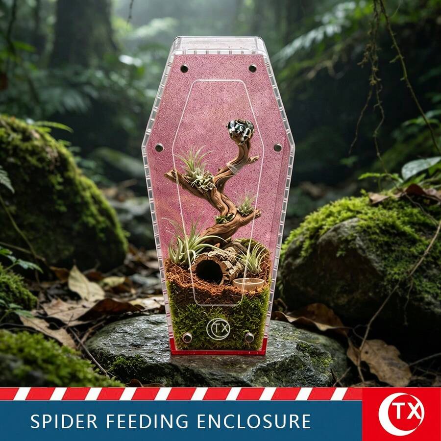 Coffin-Shaped Acrylic Spider Feeding & Breeding Box, Transparent Micro Habitat Terrarium With Magnetic Door And Ventilation Holes, Suitable For Tarantulas, Mantises, Insects - Multicolor - View 1