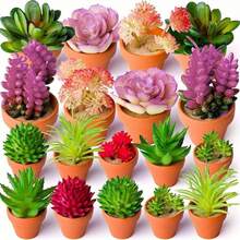 Bonsai - 27pcs - View 8