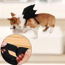 Pet Bat Wings, For Cats, Halloween Party Decoration, Dog Leash And Collar, Bat Cosplay Costume, Cute Puppy And Kitten Costume Accessories - Multicolor - View 10