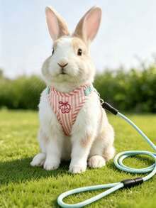 1pc Rabbit Vest Harness Leash, Suitable For Small Dogs, Teddy, Bichon Frise, Puppies, Adjustable Pet Dog Leash, Rabbit Harness, Rabbit Supplies, Rabbit Pet Supplies, Rabbit Supplies, Dog Supplies, Cat Supplies, Dog Leash - Multicolor - View 6