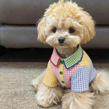 1pc Pet Shirt, Casual Comfortable Breathable, Spring/Summer Cat & Dog Clothes, Suitable For Teddy Poodle And Other Small Pets - Multicolor - View 3