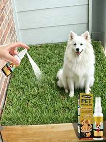 Yegbong Pet Toilet Training Spray, Easily Teach Pets To Use The Toilet In A Specific Spot - 30ml - View 2