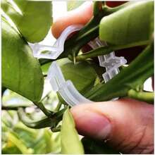 15Pcs Garden Lattice Plant Support Clips 1 Inch White Durable Plastic Vine Fixing Clips For Climbing Vegetables Flowers Tomato Cucumber Pumpkin Growth Support - 13 cm - View 1
