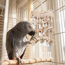 Mainan Balok Bangunan Tali untuk Burung Beo Besar, Desain Multi-Tali untuk Memperkaya Kandang dan Mengasah Paruh, Cocok untuk Burung Beo dan Burung Besar, Sedang, dan Kecil, Mainan Burung Beo, Aksesori Kandang Burung - View 6