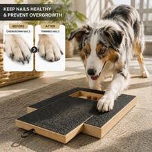 1PC Dog Nail File Board, Dog Nail Scratch Pad With Treat Compartment, Paw Scratcher Training Board, Dog Nail Trimmer Tool With Non-Slip Base, Interactive Dog Grooming Supplies For Small Medium Large Dogs, Pet Home Care - one-size - View 8
