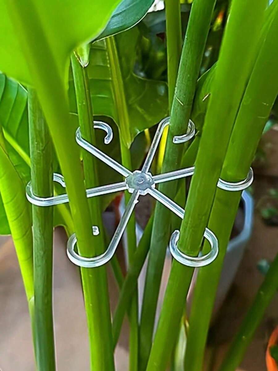 4/1 buah Tiang Penyangga Tanaman Transparan (8 buah/4 buah), Desain Punggung Kura-kura Anti Selip, Cocok untuk Tanaman Merambat, Bunga, dan Bibit. Penyangga Multifungsi Gaya Bambu, Cocok untuk Berkebun, Berkemah, Lengkungan Pernikahan, dan Dekorasi Ruangan. Tahan Lama, Dapat Digunakan di Dalam dan Luar Ruangan.