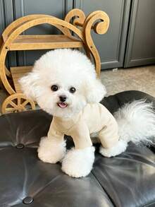 Soft Ribbed Pet Dog Inner Shirt Undershirt, Suitable For Small And Medium Pets, Dog Accessories, Dog Clothing, Dog Halloween Costume, Cat Autumn Daily Wear Clothing - Multicolor - View 11