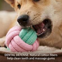 Knotted Dog Toy Durable Interactive Training Rope Toy Suitable For All Dog Sizes Indoor And Outdoor Play And Dental Cleaning - Pink - View 5