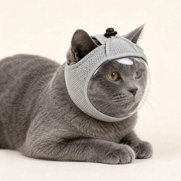 Couvre-tête transparent de chat qui ne bloque pas la vision, masque de visage de chat respirant, masque confortable anti-léchage et anti-griffure, fournitures pour animaux de compagnie