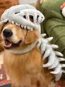 Funny Dinosaur Skeleton Pet Halloween Costume, Plush Skull Spine Cosplay Outfit, Dog Halloween Party Photo Prop Pet Dress-Up Accessory - Grey - View 5