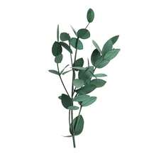 10/20/30/50pcs DIY Artificial Eucalyptus Leaves, Convenient Mini Decorative Eucalyptus Leaves, Spring/Summer Holiday Artificial Fine Leaves, Realistic Home Wreath Decoration Gift, Valentine's Day Birthday Graduation Gift, Artificial Plants - Green Fine Leaves - View 4