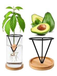 1/2/4/6pcs Water Culture Seedling Support Pots (Racks Solely) | Creative Tapered Plastic Germination Containers | Suitable For Avocado And Various Plant Seeds Germination Cultivation | Lightweight Hanging Design Gardening Gift Home Decor - Multicolor - View 1
