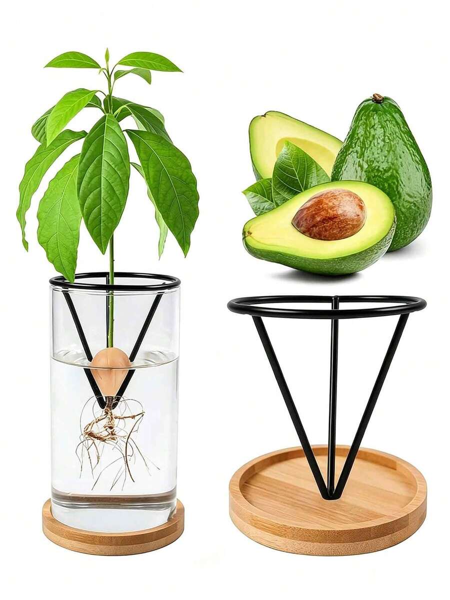1/2/4/6pcs Water Culture Seedling Support Pots (Racks Solely) | Creative Tapered Plastic Germination Containers | Suitable For Avocado And Various Plant Seeds Germination Cultivation | Lightweight Hanging Design Gardening Gift Home Decor - Multicolor - View 1