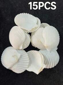 5/15/25/35pcs Natural Scallop Shells, White Beach Shells, Suitable For DIY Crafts And Home Decor - A - View 11