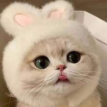 1PC Cute Bunny Ear Hat For Cats And Small Dogs, Soft Plush Rabbit Ear Pet Headwear, Adorable Animal Costume Accessory For Pet Photos, Halloween Parties, Festivals, Birthday Celebrations And Everyday Dress-Up - Multicolor - View 4