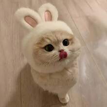 1PC Cute Bunny Ear Hat For Cats And Small Dogs, Soft Plush Rabbit Ear Pet Headwear, Adorable Animal Costume Accessory For Pet Photos, Halloween Parties, Festivals, Birthday Celebrations And Everyday Dress-Up - Multicolor - View 5