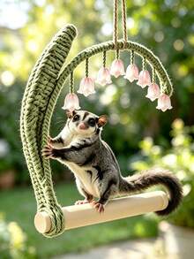 Climbing Ladder Bird Toy, Bird Cage Swing Perch Swing Bird Cage Perch Bird Perch Bird Swing Toy, Suitable For Lovebirds, Small Sun Conure, Parrot Exercise And Decoration, Indoor Bird Cage Accessories - Round - View 9