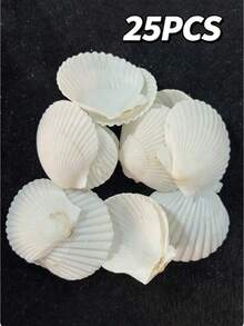 5/15/25/35pcs Natural Scallop Shells, White Beach Shells, Suitable For DIY Crafts And Home Decor - A - View 10