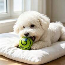 1pc Large Wobbling Dog Toy Ball, Makes Funny Rattling Sound When Shaken, Squeaky Dog Toy Ball, Teething Ball, Training Teeth Cleaning Ball, Suitable For Indoor And Outdoor Use, Gift For Medium And Large Dogs - Multicolor - View 8