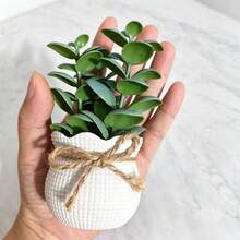 3pcs Artificial Succulent Potted Plants, Maintenance-Free, Ins Nordic Style Healing Desk Decor, Suitable For Home Desk, Bathroom, Bedroom, Holiday Party, Office And Multiple Scene Desktop Decoration Faux Plants - Army Green - View 6