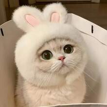 1PC Cute Bunny Ear Hat For Cats And Small Dogs, Soft Plush Rabbit Ear Pet Headwear, Adorable Animal Costume Accessory For Pet Photos, Halloween Parties, Festivals, Birthday Celebrations And Everyday Dress-Up - Multicolor - View 2