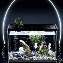 Fsh Tank With Lid Household Turt Breeding Smlland Medun Hy Droponkc Ecologica Aquarium Lving Room Transparen Goldfish Breeding Tank, Smal Landceping Desktop Turde Tank - View 4