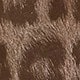 Brown Leopard Print