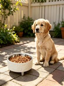 Stainless Steel Pet Bowl, Raised Elevated Feeding Bowl, Neck Protection Anti-Slip Anti-Detachable Design, For Cat Dog Food And Water Feeding, Suitable For All Pets Indoor Daily Feeding - mean - View 9