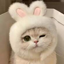 1PC Cute Bunny Ear Hat For Cats And Small Dogs, Soft Plush Rabbit Ear Pet Headwear, Adorable Animal Costume Accessory For Pet Photos, Halloween Parties, Festivals, Birthday Celebrations And Everyday Dress-Up - Multicolor - View 1