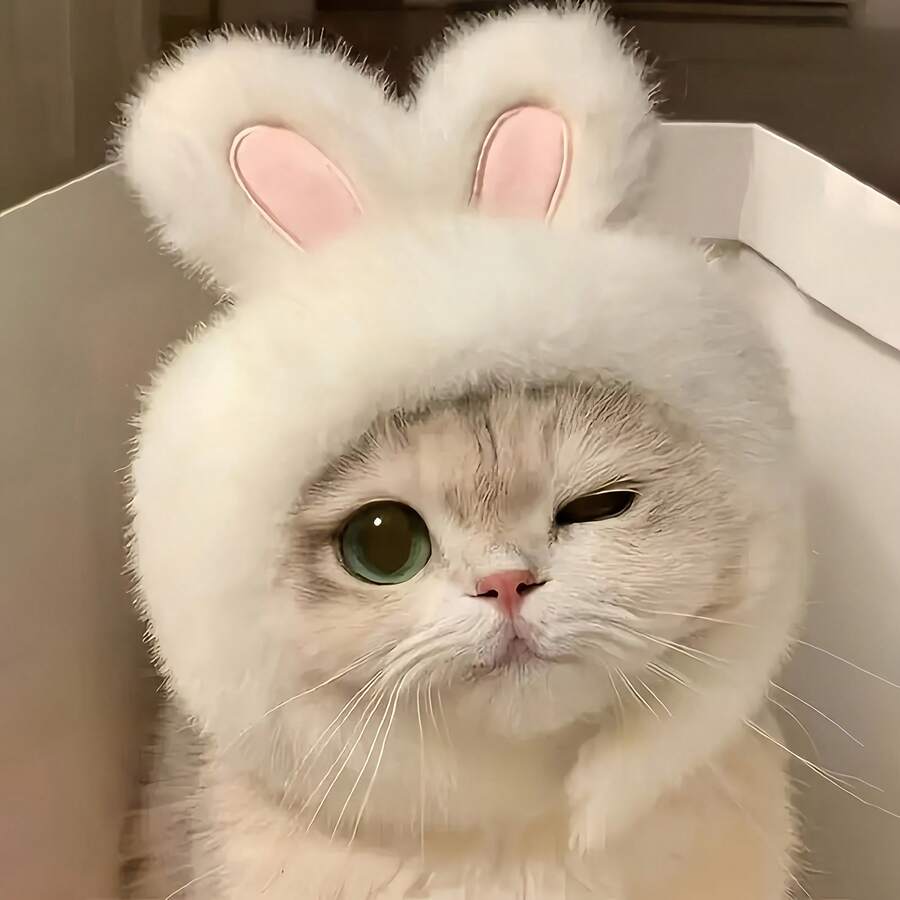 1PC Cute Bunny Ear Hat For Cats And Small Dogs, Soft Plush Rabbit Ear Pet Headwear, Adorable Animal Costume Accessory For Pet Photos, Halloween Parties, Festivals, Birthday Celebrations And Everyday Dress-Up - Multicolor - View 1