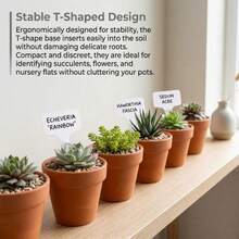 Waterproof Reusable T-Type Plant Tags For Garden Vegetables And Herbs 100pcs/Set - White - View 1